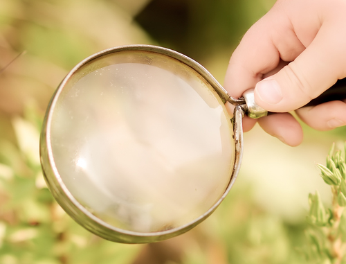 Boy with magnifying glass looking at grass